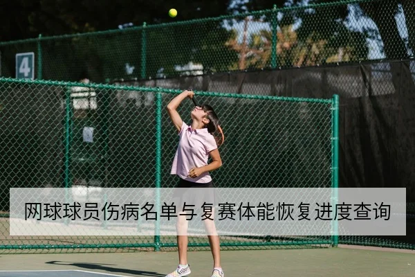 网球球员伤病名单与复赛体能恢复进度查询