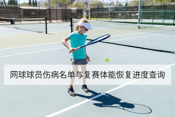 网球球员伤病名单与复赛体能恢复进度查询